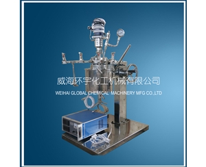 High Pressure Reactor with Lifting and Flip Device